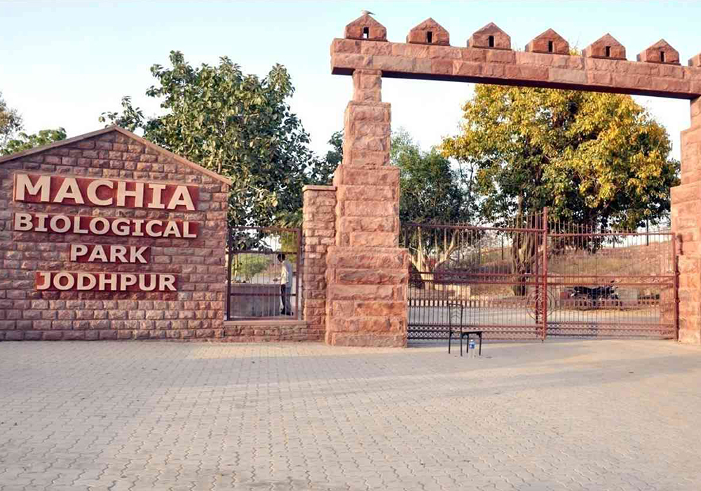 Machia-Biological-Park-Jodhpur